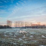 landschap in Limburg