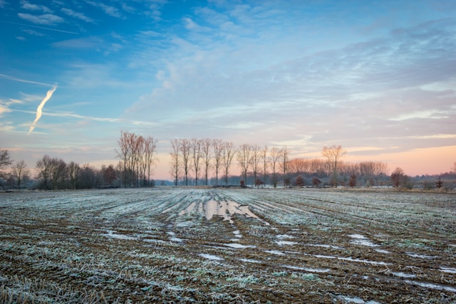 landschap in Limburg